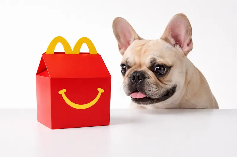 Comida rápida para perros McDonald's Happy Doggy